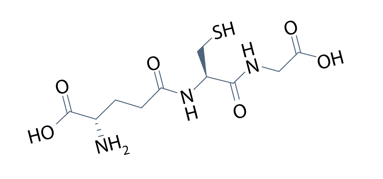 The Master Antioxidant: Bioavailability of Oral Glutathione Supplementation